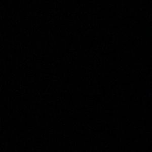 Meet your Posher, Curtis